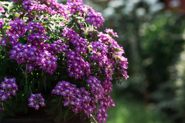 Similar image 21511416