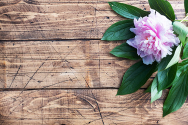 Similar image 21508486