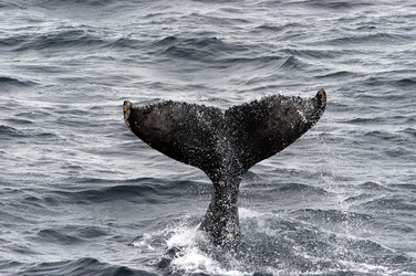 Similar image 21507843