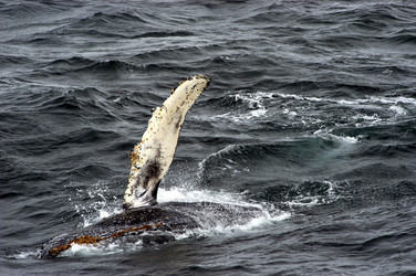 Similar image 21507844