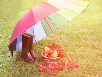 Similar image 21507852