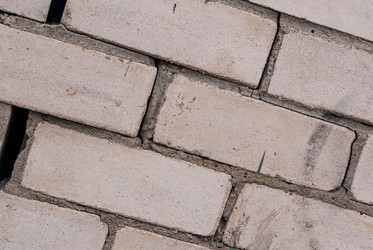 Similar image 21507868