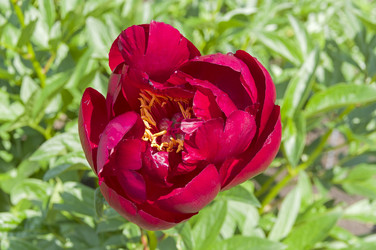 Similar image 21507884