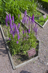 Similar image 21507885