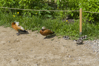 Similar image 21507886