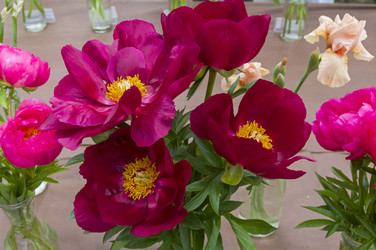 Similar image 21507887