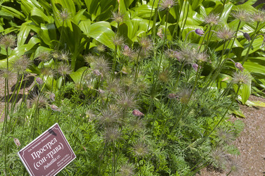 Similar image 21507888