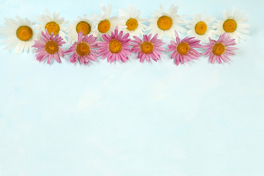 Similar image 21508067