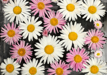 Similar image 21508070