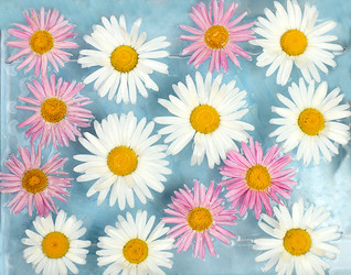 Similar image 21508071