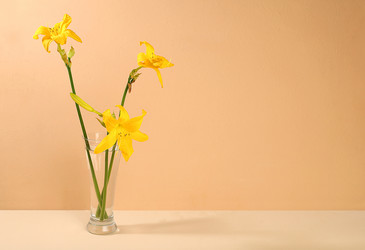 Similar image 21508072