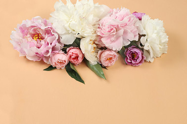 Similar image 21508075