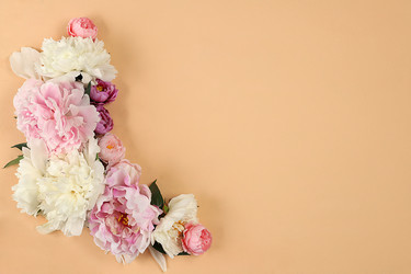 Similar image 21508076