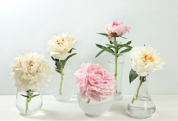 Similar image 21508079