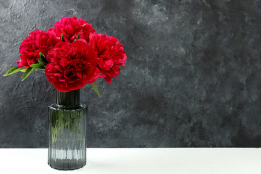 Similar image 21508082