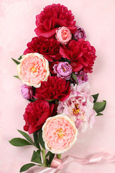 Similar image 21508083