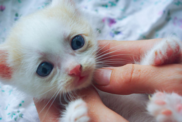 Similar image 21507892