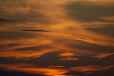 Similar image 21509026