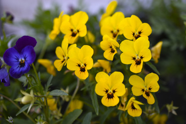 Similar image 21508929