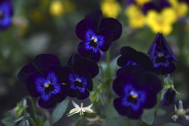 Similar image 21508930