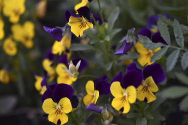 Similar image 21508931