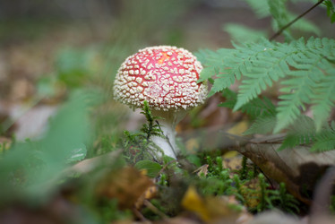 Similar image 21510674