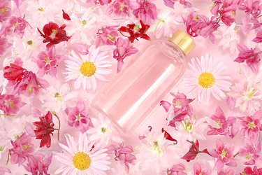 Similar image 21508095