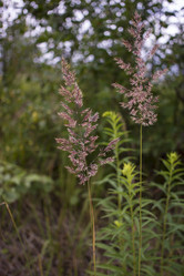 Similar image 21509391