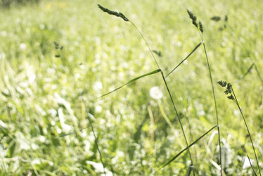 Similar image 21509396