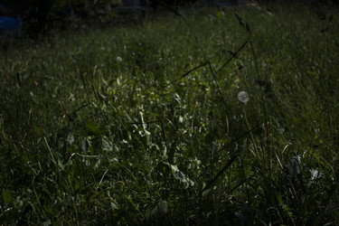 Similar image 21509398