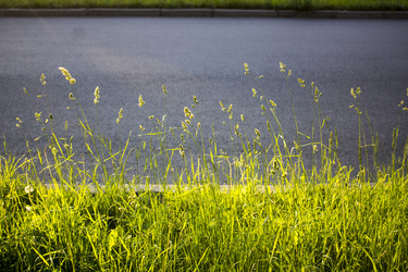 Similar image 21509405