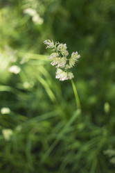 Similar image 21509409