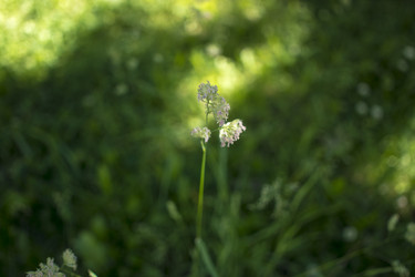 Similar image 21509412