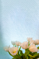 Similar image 21509414