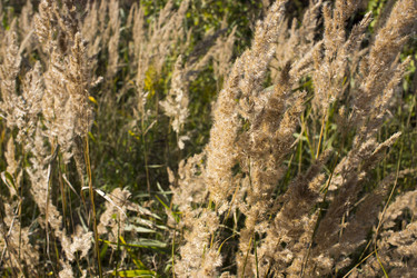 Similar image 21509418