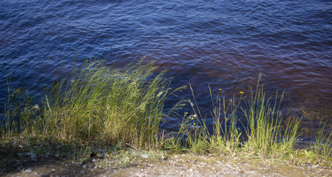 Similar image 21509421