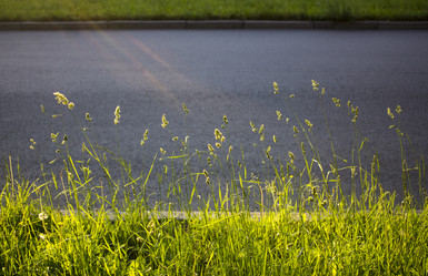 Similar image 21509425