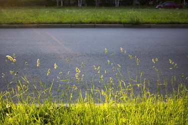 Similar image 21509429