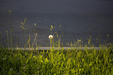 Similar image 21509431