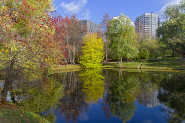 Similar image 21508733