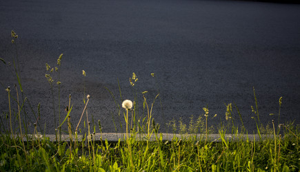 Similar image 21509433