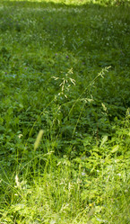 Similar image 21509441