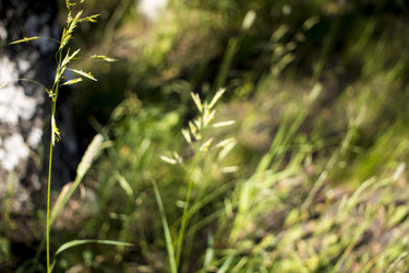 Similar image 21509444