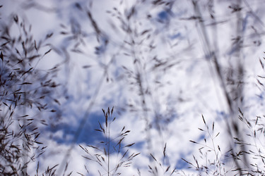 Similar image 21509445