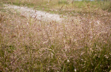 Similar image 21509447