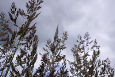 Similar image 21509449