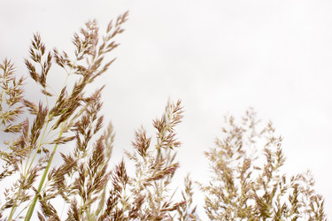 Similar image 21509451