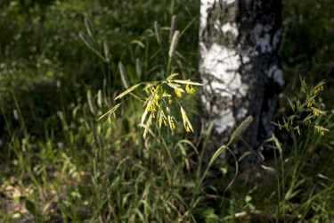 Similar image 21509452