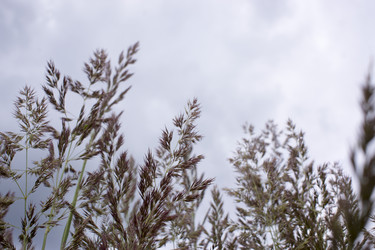 Similar image 21509453