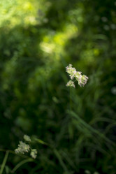 Similar image 21509454